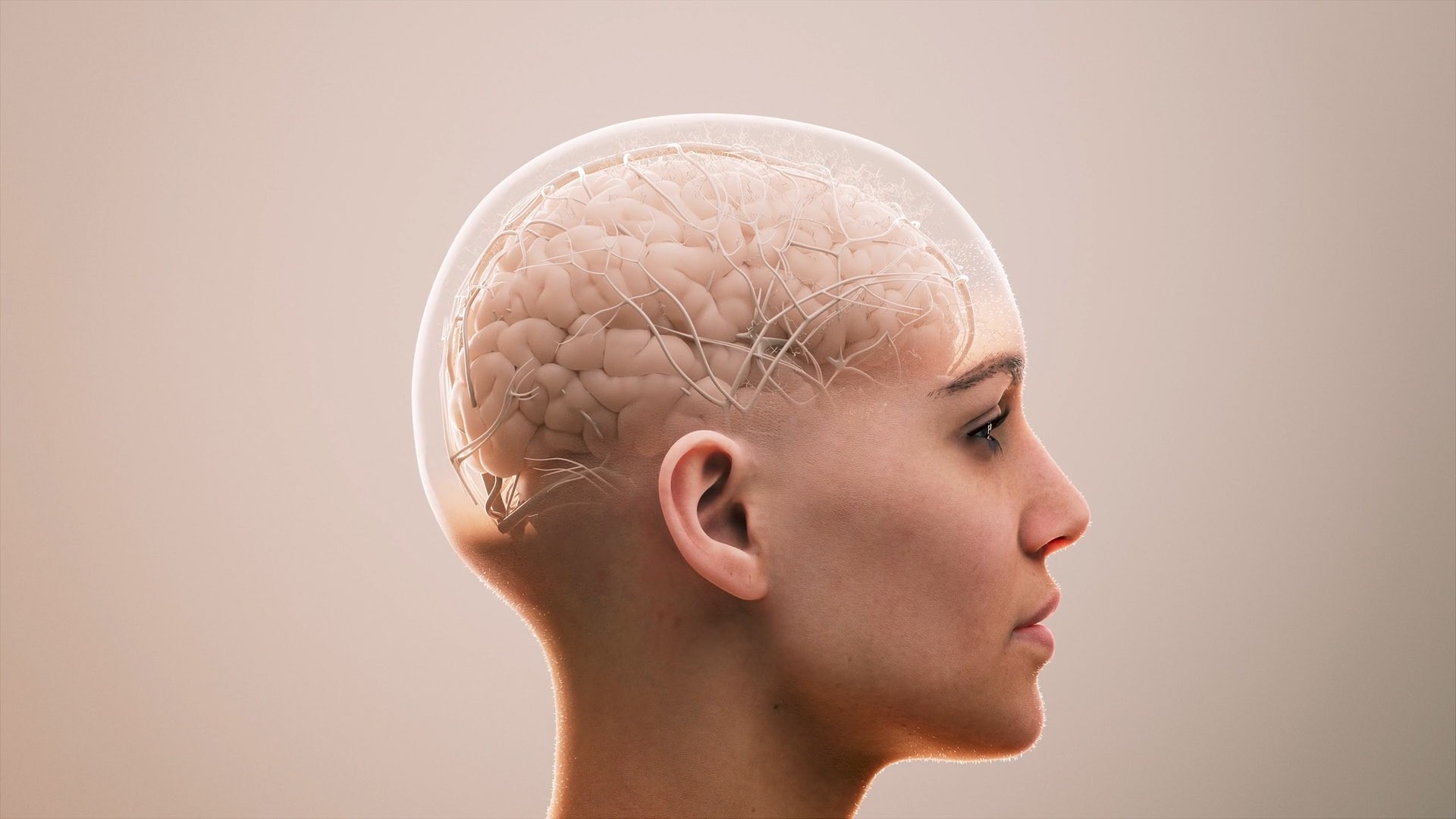 3D animation of sideview of head where brain network is visible.jpg